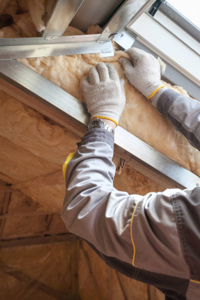Best Cellulose Insulation in Ovilla, TX