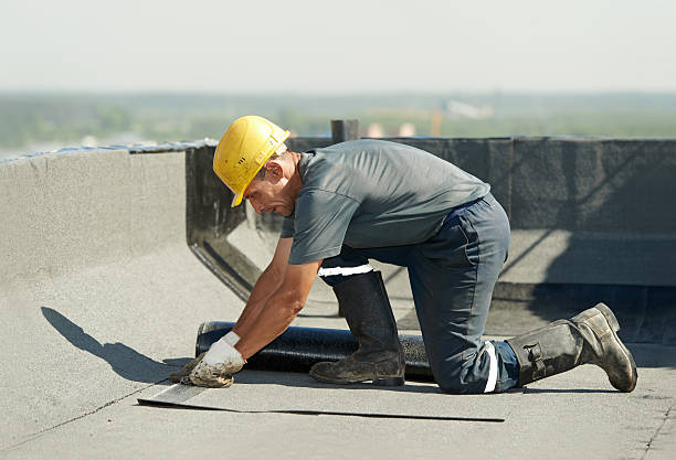 Best Specialized Insulation Services in Ovilla, TX